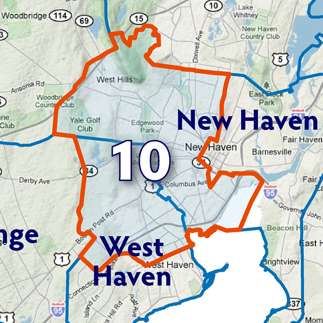 Map of the Tenth Senate Disctrict.