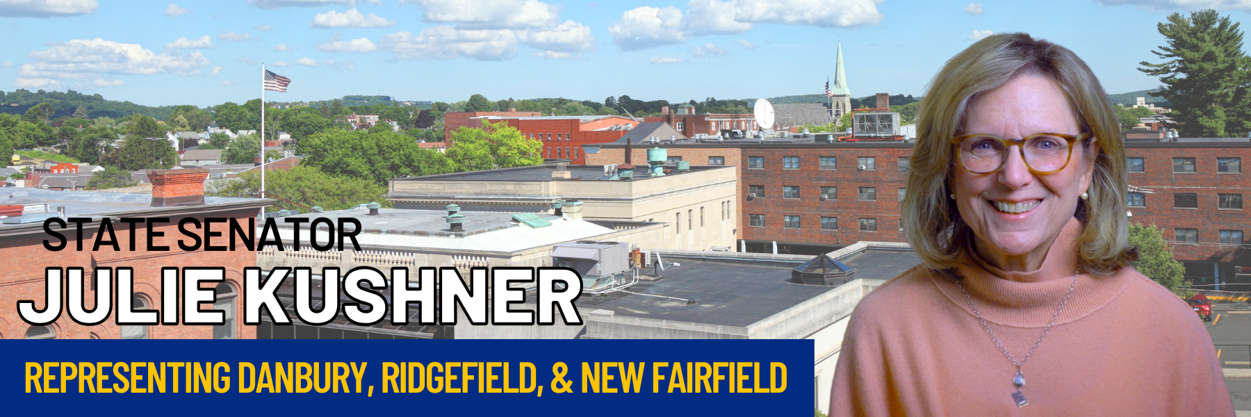 SEN. KUSHNER PLEDGES TO RAISE NON-DISCLOSURE AGREEMENT BILL THIS SESSION